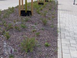 | Einhausen | Architektur | Neubaugebiet | Steingarten-Kindergarten