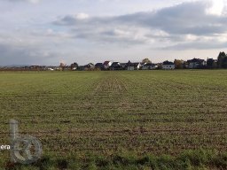 | Einhausen | Drumrum | Landwirtschaft | Panorama-26