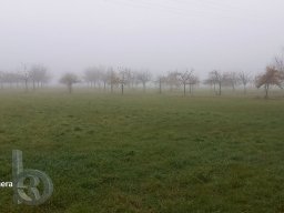 | Einhausen | Drumrum | Landwirtschaft | Panorama-Nebel