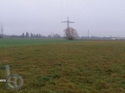 | Einhausen | Drumrum | Landwirtschaft | Panorama-Schwanheim