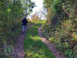 | Einhausen | Jägersburger-Wald | Schneise |