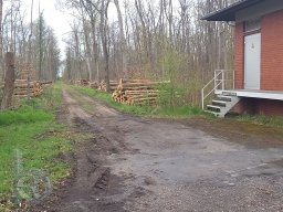 | Einhausen | Jägersburger-Wald | Holzstapel |