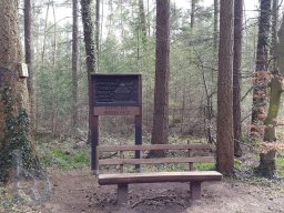 | Einhausen | jägersburger-Wald | Rastplatz | Rundes-Haus