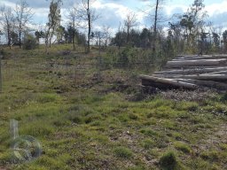 | Einhausen | Jägersburger-Wald | Panorama | Holzstapel