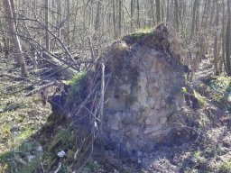 | Einhausen | Jägersburger-Wald | Waldschaden | Entwurzelt-Umgestürzt |