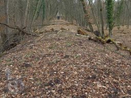 | Einhausen | Jägersburger-Wald | Zerbombte Autobahnbrücke | Osten A67 |