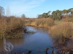 | Einhausen | Wattenheimer-Brücke | Weschnitzpanorama